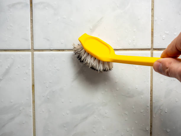 Best Mold Damage Repair  in Hugo, MN